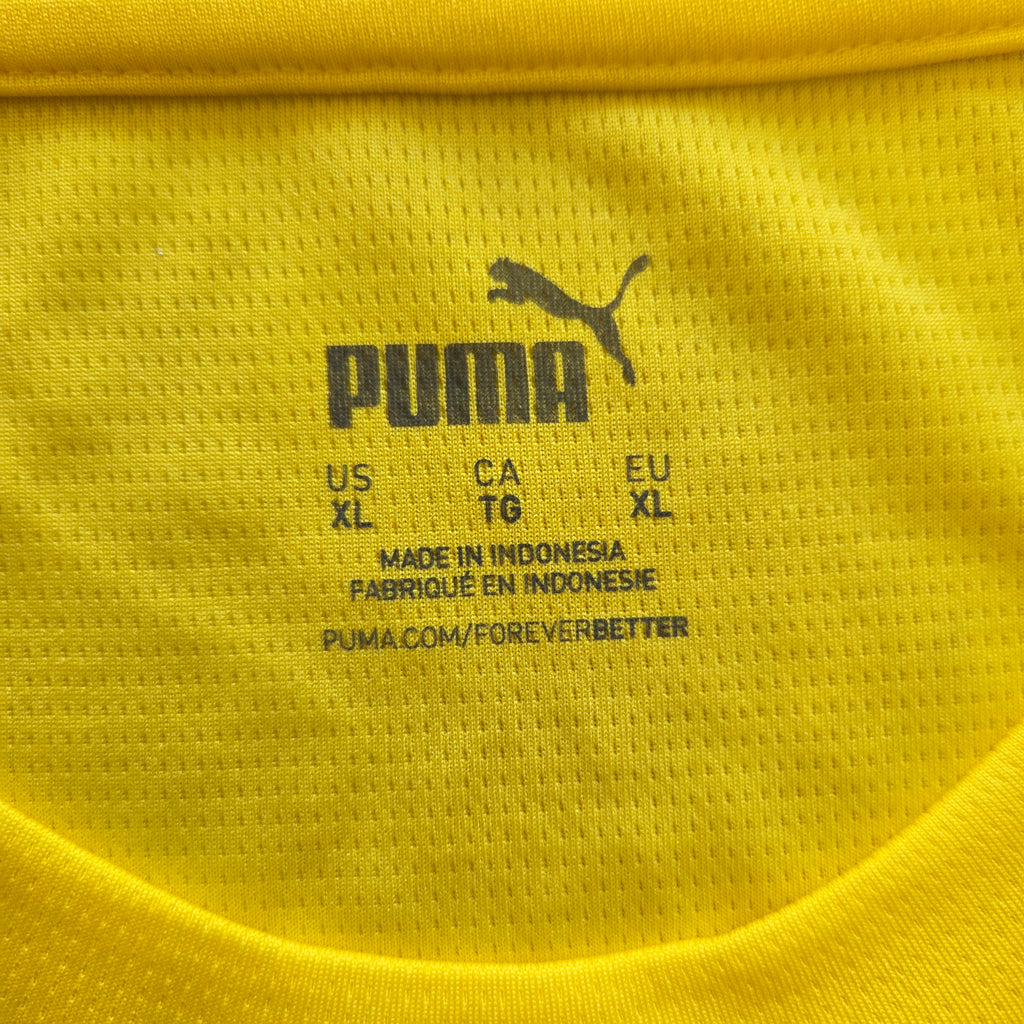 Borussia Dortmund 24/25 Trainingsshirt (XL) - neu mit Etikett