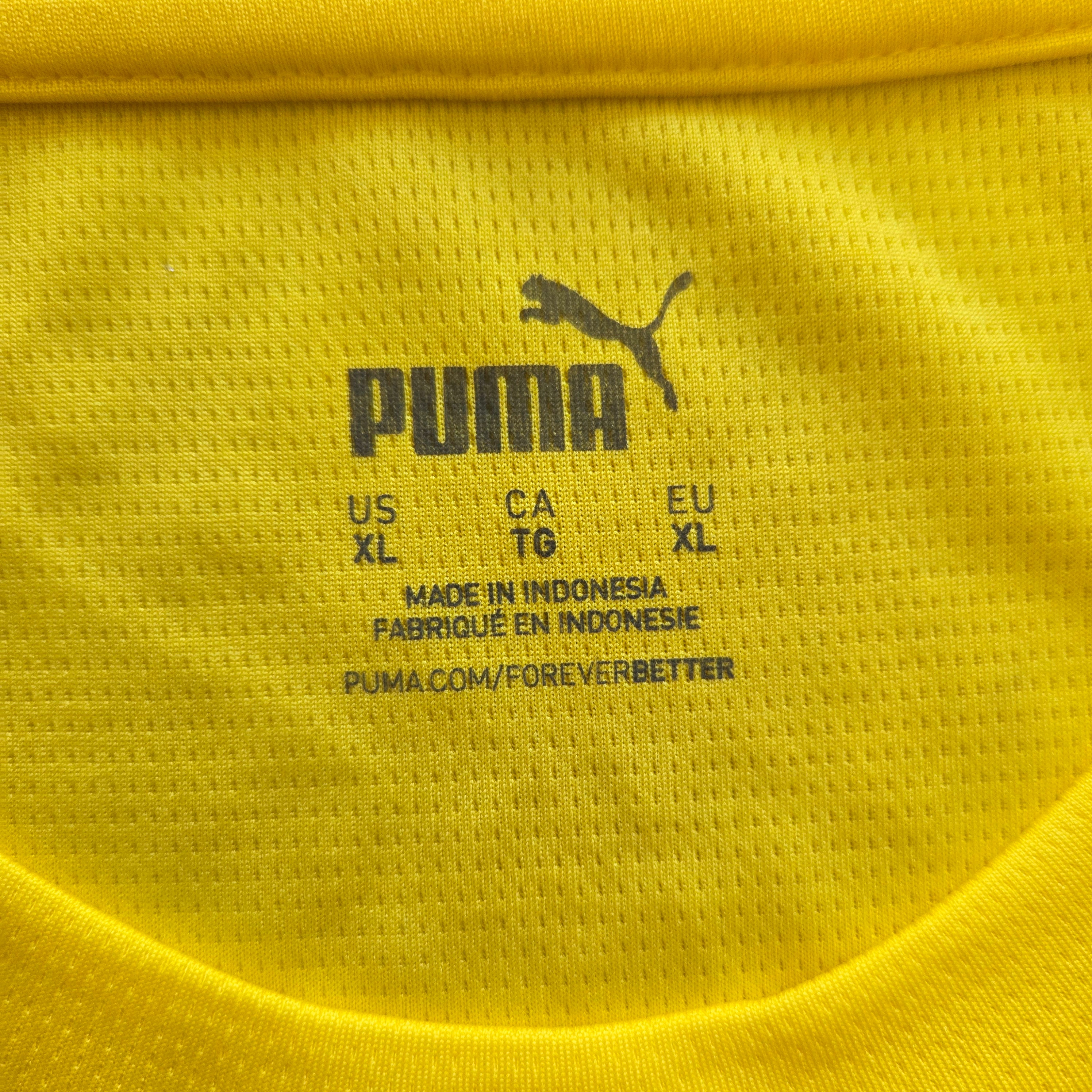 Borussia Dortmund 24/25 Trainingsshirt (XL) - neu mit Etikett