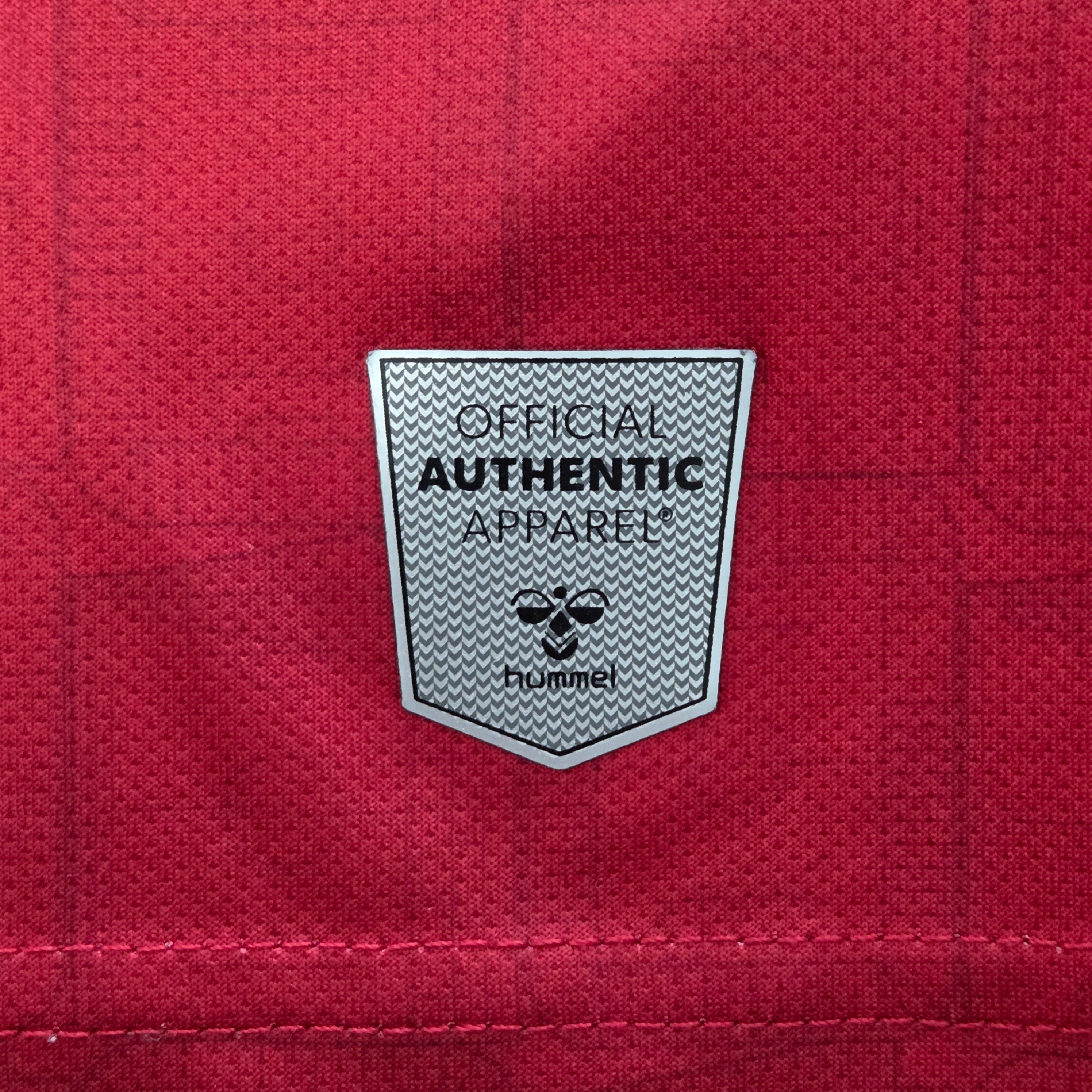 Southampton 21/22 Trainingsshirt (L)