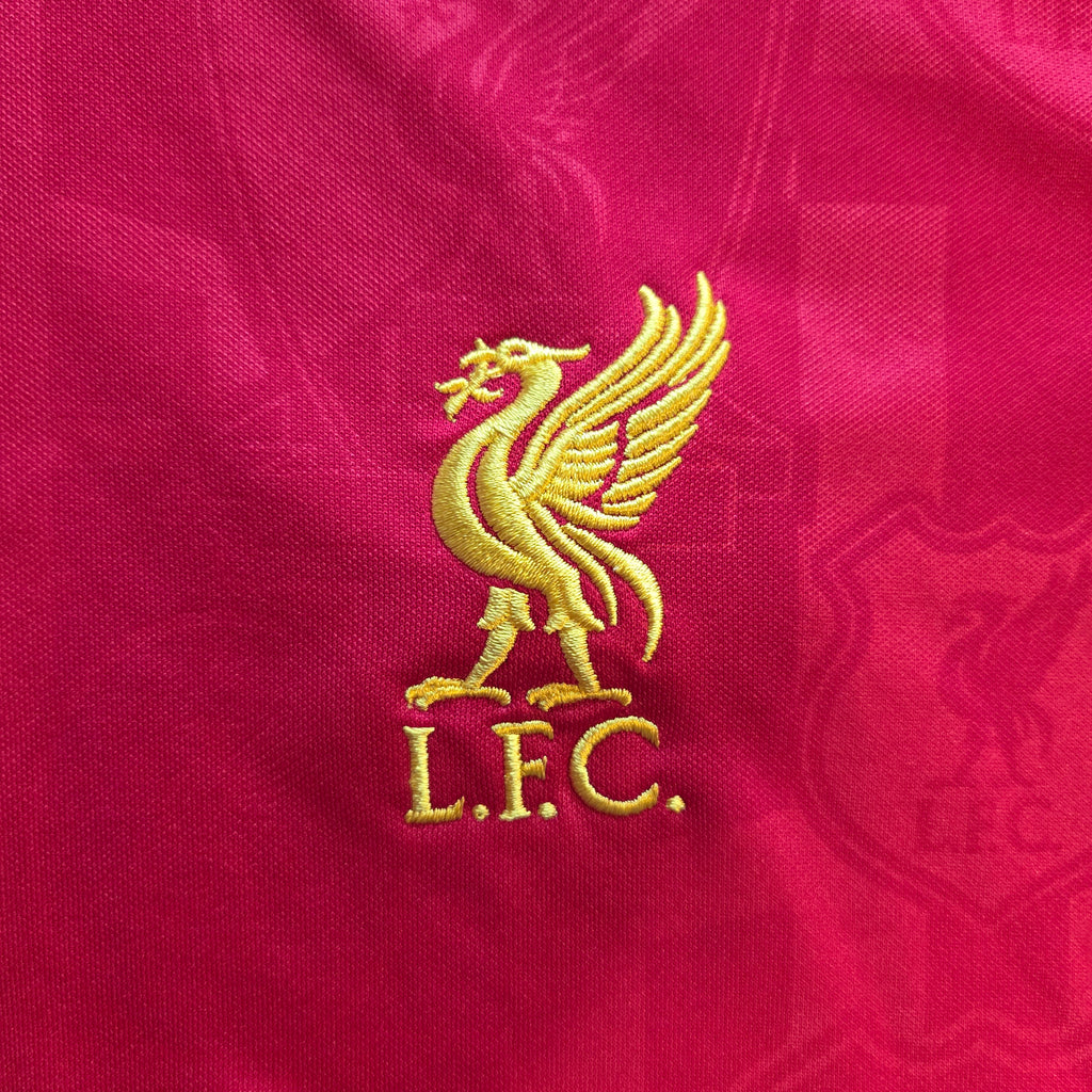 Liverpool 24/25 Trainingsshirt (L)