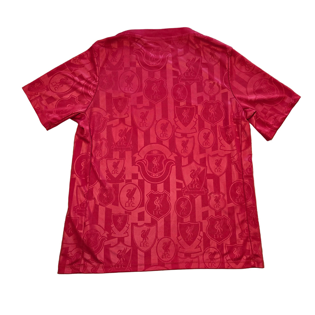Liverpool 24/25 Trainingsshirt (L)