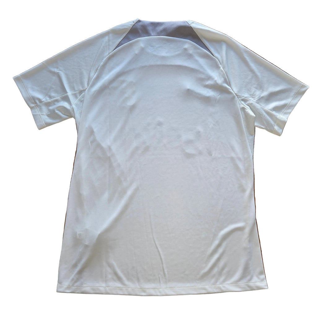Tottenham Hotspur 22/23 Trainingsshirt (L)