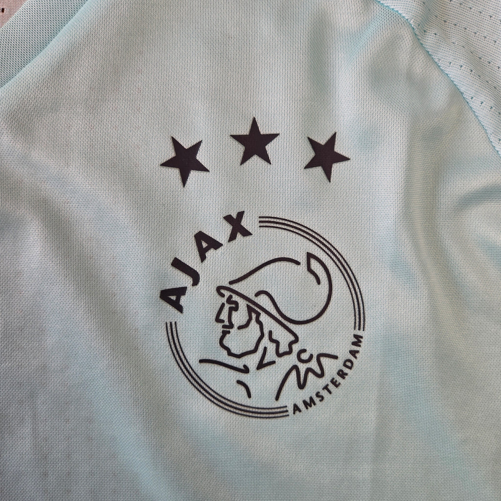 Ajax Amsterdam 16/17 Trainingsshirt (L)
